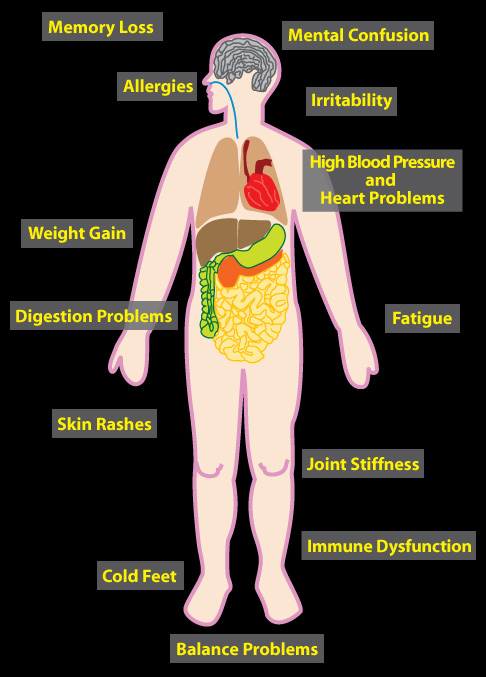 symptoms of excess toxins in the body