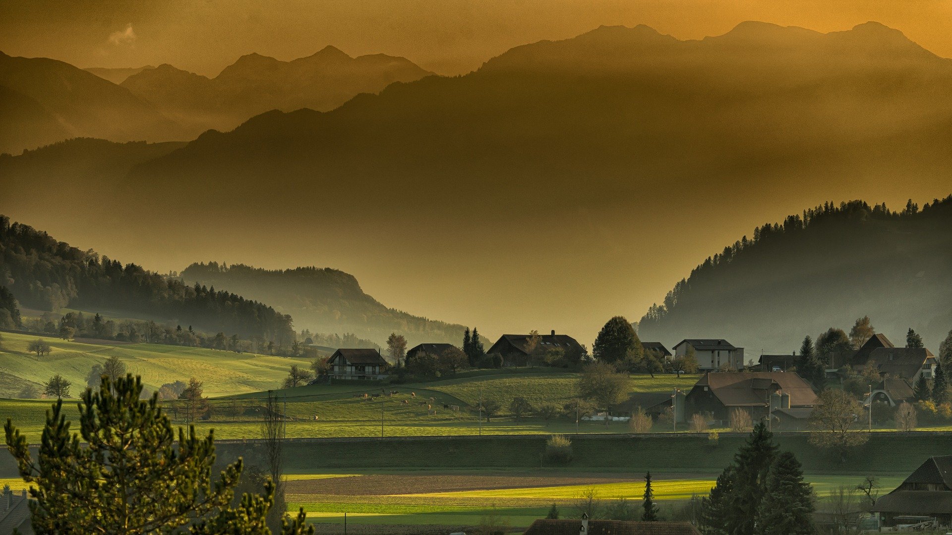 Nature: Cheaper than therapy. - Ankkita Sinha